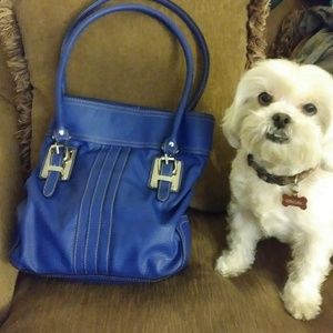 Royal blue chaps tote